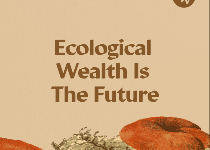 Ecological wealth is the future: reimagining capital